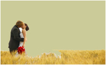http://www.ardentonline.com/wedding3.jpg